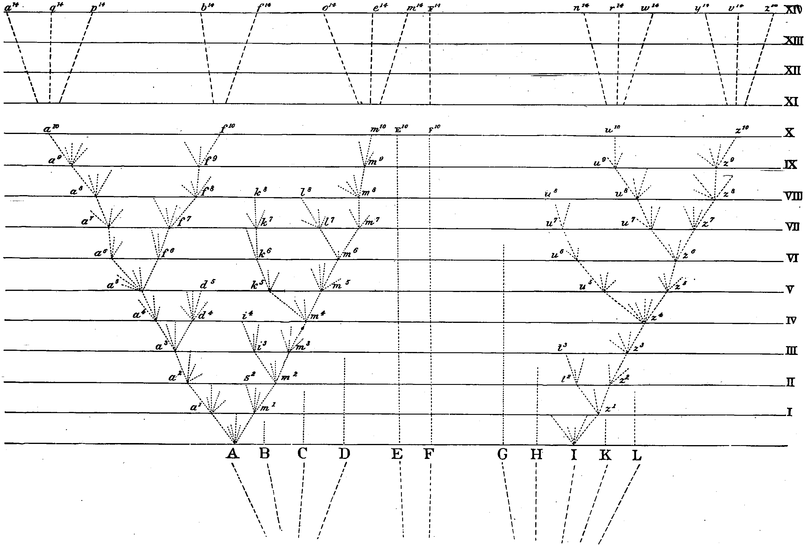 Graph labeled on the horizontal-axis with the letters A to L and on the vertical-axis with Roman numerals I to XIV. From A branch up several dashed lines; all but two stop before reaching vertical-level I; from those two branch up several more dashed lines, some stop before the next vertical-level those that don't sprout up more lines, repeat though in some cases no line from a particular branch reaches the next vertical-level. Further description in the text following.