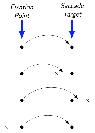 [Two columns of 4 dots each, each pair of dots on the same horizontal. The left column has the words 'Fixation Point' at the top and a blue arrow pointing from those words to the top of the column. The right column has the words 'Saccade Target' and a similar blue arrow. The top (or first) pair of dots has an arrow curving from the left dot to the right dot. The second pair as a 'x' to the left of the right dot and an arrow curving from the left dot to a point between the 'x' and the right dot. The third pair has a 'x' to the right of the right dot and an arrow curving from the left dot to a point between the right dot and the 'x'. The fourth pair as a 'x' to the left of the left dot and an arrow curving from the left dot to the right dot.]