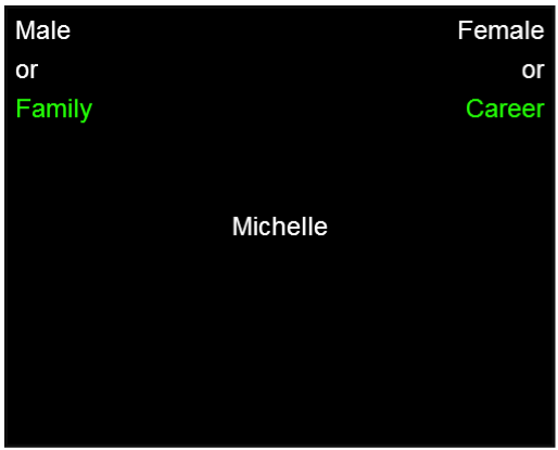 [a black box in the center is the word 'Michelle' in white, on the top left are the words 'Male or [in white]  Family [in green]', on the top right are the words 'Female or [in white] Career [in green]']